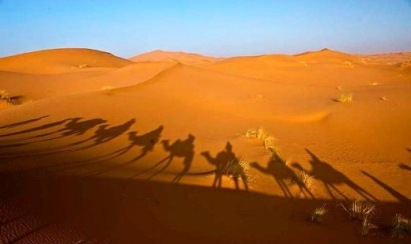 Самые интересные факты о пустынях (Сахаре)